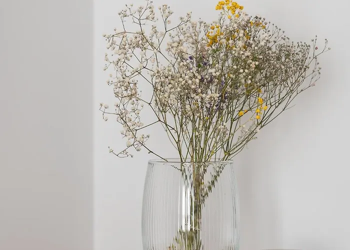 Sunny - Plac Wolnosci 6 *